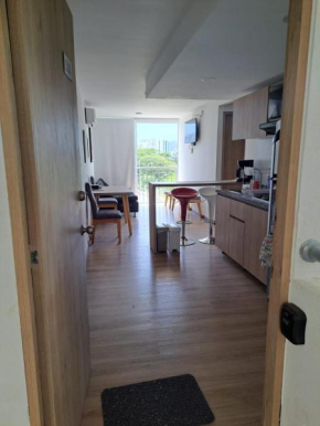 Lindo apartamento en Santa Marta, Rodadero, Gaira 503